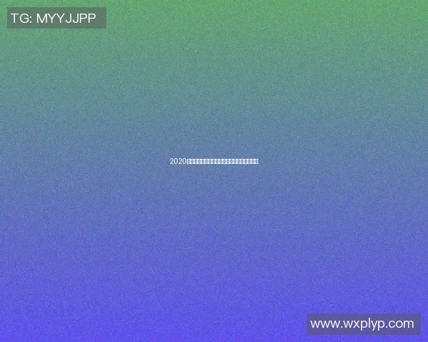 2020年欧洲杯意大利队的辉煌历程与夺冠之路分析